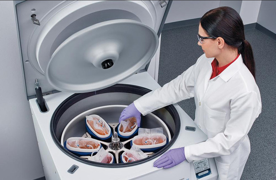 Harga yang bagus CFL6R Floor Standing Blood Bag Pendingin Centrifuge 6 × 1000ml 6000rpm on line